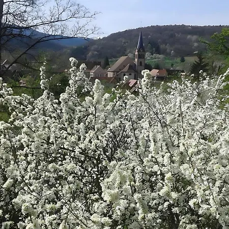 Bienvenue-willkommen