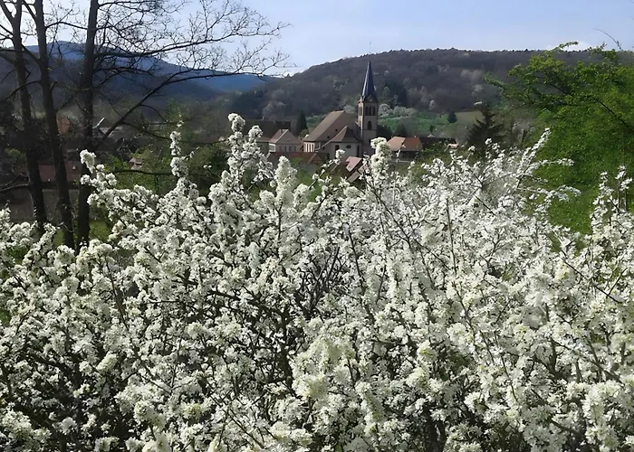 Bed & Breakfast Bienvenue-willkommen 3*